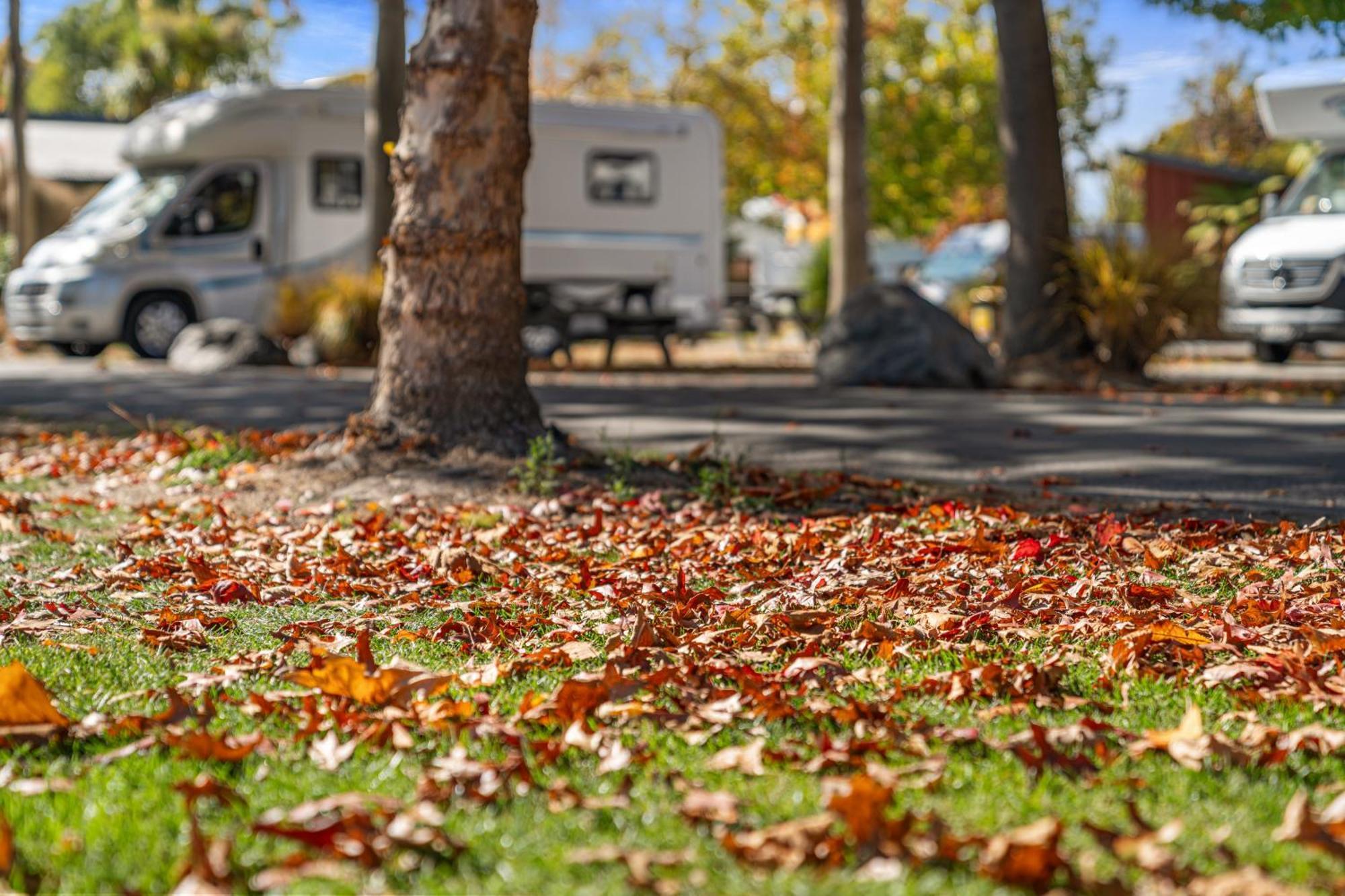 Tasman - Holiday park 5*